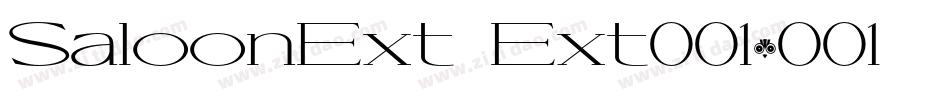 SaloonExt Ext001.001字体转换